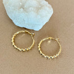 Jaipur 02 | Gold Plated Earrings