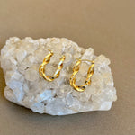 Elarisyn | Gold Plated Earrings