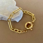 Lobster | Gold Plated Bracelet