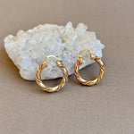 Avenza | Gold Plated Earrings