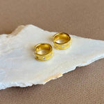 Trisa | Gold Plated Earrings
