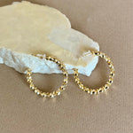 Evie | Gold Plated Earrings