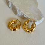 Limonza | Gold Plated Earrings