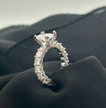 Royal 02 | White Gold Plated Ring