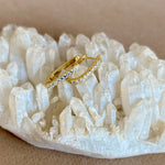 Ayara | Gold Plated Earrings [2 In 1 ]