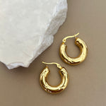 Zenaya | Gold Plated Earrings