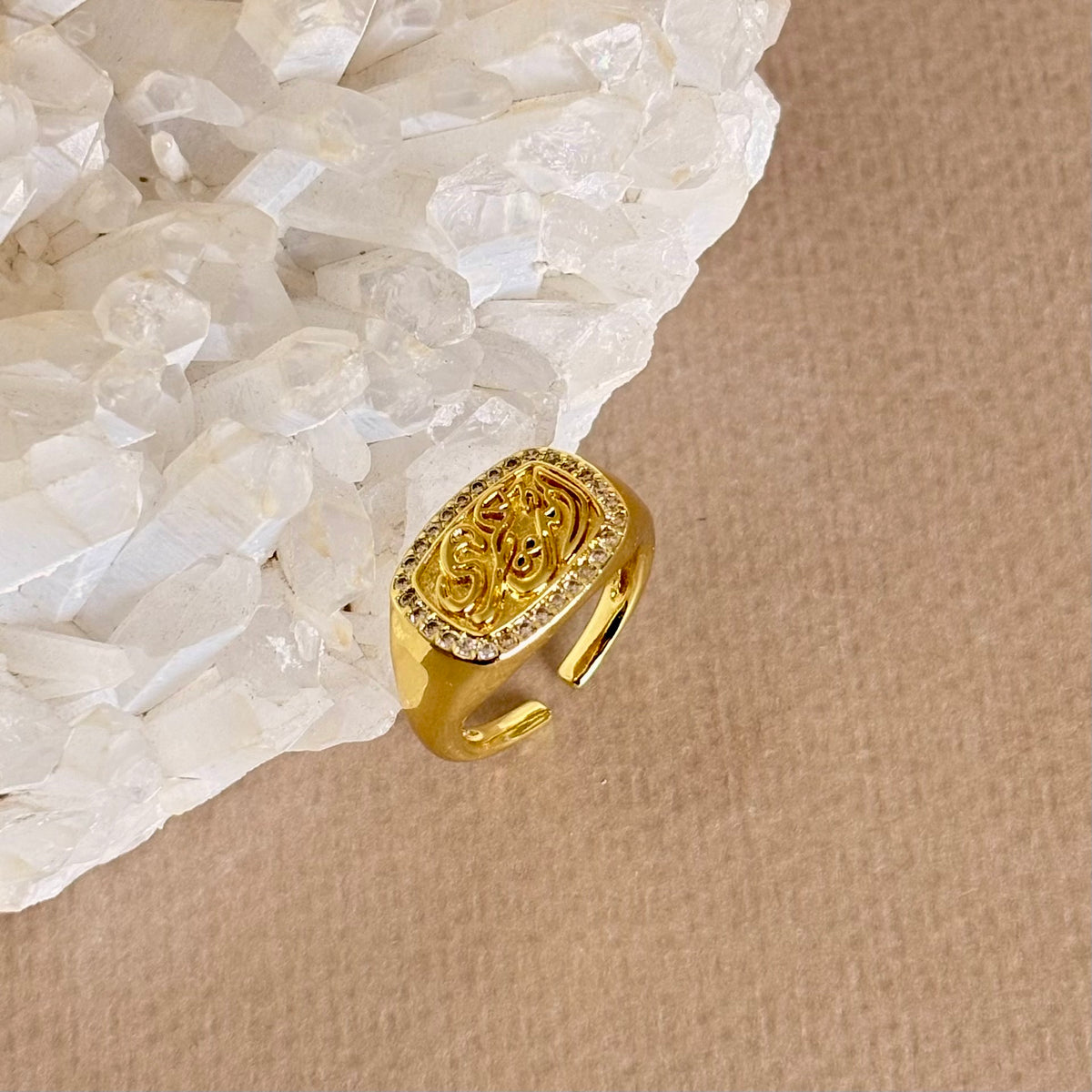 Enta Omry 03 | Gold Plated Ring