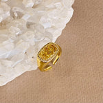 Enta Omry 03 | Gold Plated Ring