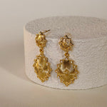 Velor | Gold Plated Earrings