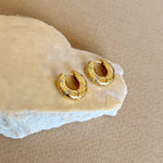Norex | Gold Plated Earrings