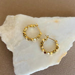 Maxine | Gold Plated Earrings