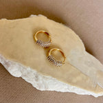 Darmion | Gold Plated Earrings