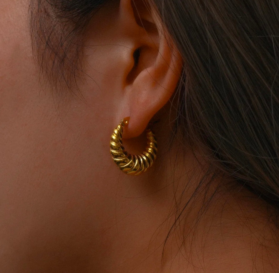 Jaipur | Gold Plated Earrings