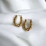 Evie | Gold Plated Earrings